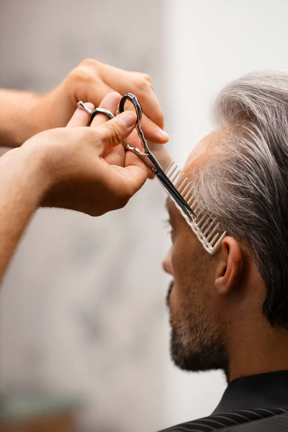 Arquitectura del Corte